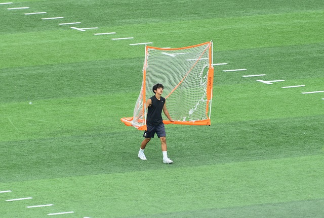 耳曼后便迅