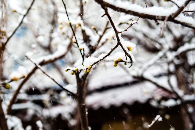 煌岁月
